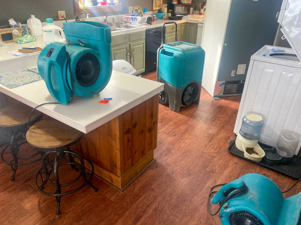 Best Residential water damage restoration  in East Bethel, MN