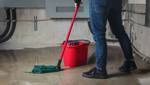 Best Water damage restoration near me  in East Bethel, MN