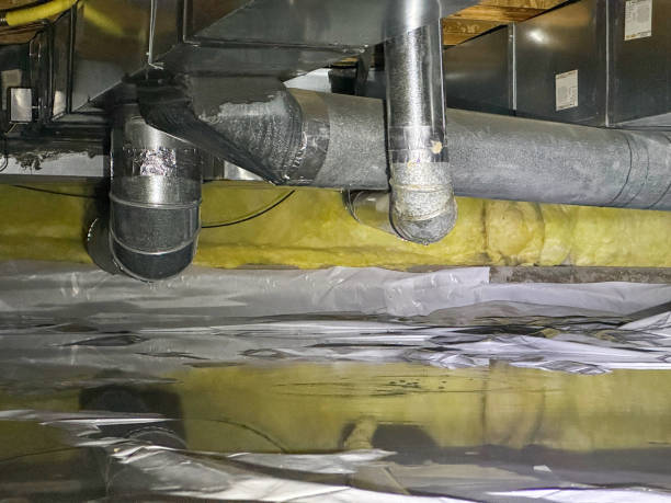 Best Local water damage restoration  in East Bethel, MN