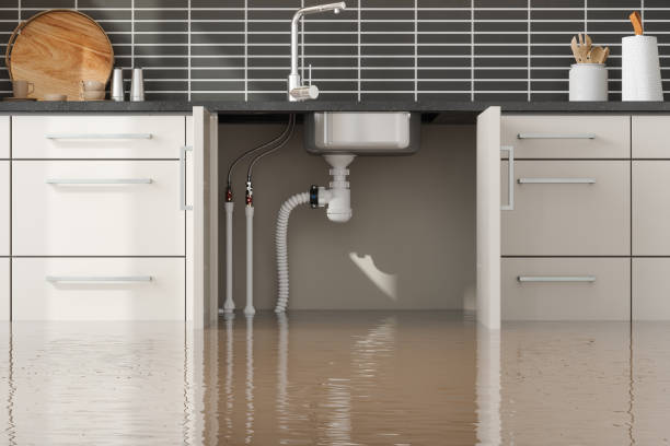 Best Basement water damage restoration  in East Bethel, MN