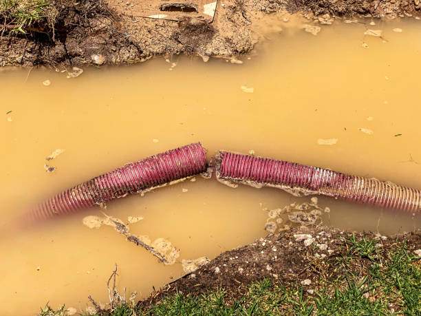 Best Flood damage cleanup  in East Bethel, MN